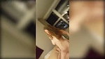 work agent Japanese gang Mia malkova Jade kush busty Human centipede Cry brazzers Room service Furry Cuckold Cleaner Nacho Hk speculum_efd302eb