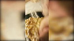 work agent Japanese gang Mia malkova Jade kush busty Human centipede Cry brazzers Room service Furry Cuckold Cleaner Nacho Hk speculum_efd302eb