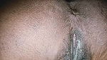 Close-up on My Pregnant Wet Hairy Pussy, Indian Stepaunty XXX Porn Videos