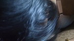 Desi cute girl suck her bf dick
