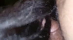 Desi cute girl fuck for money