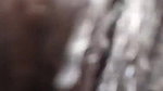 Desi cute girl fuck for money