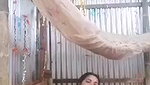 Unsatisfied Bhabhi