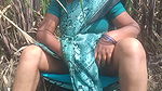 Tamil aunty masturbating in sugarcane plantation