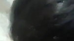 Married Bhabi Sucking Dick