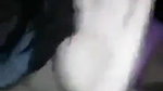 Bhabi Pussy Licking and Fucking