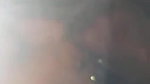 Cute Girl Blowjob In Jungle