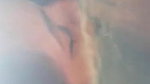 Cute Girl Blowjob In Jungle