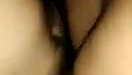 Fucked from behind