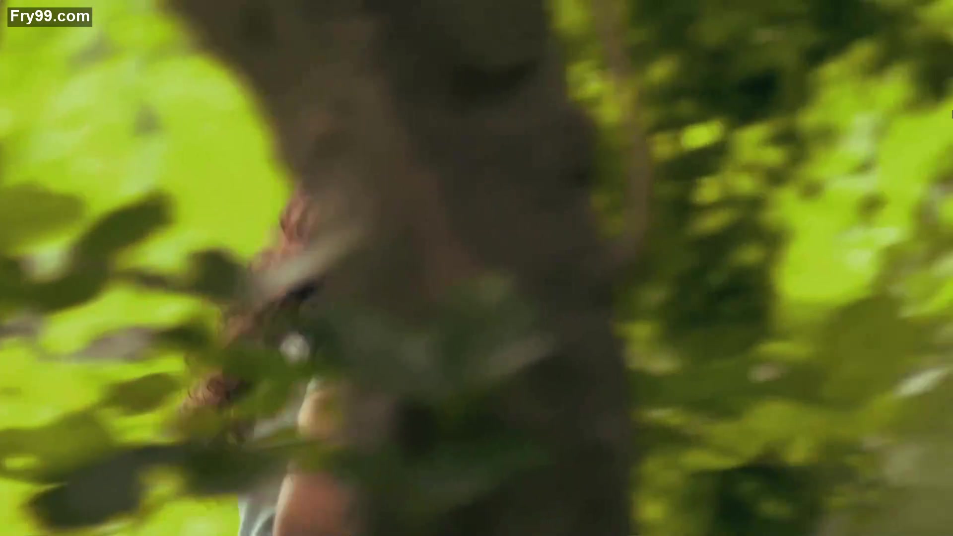 Frame 10