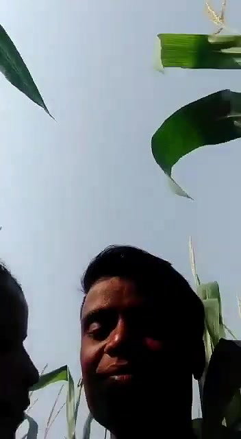 Village Couple Boobs Sucking Pussy Licking Outdoor
