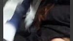 Beautiful Cute Girl Showing