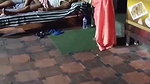 Daring Bhabhi