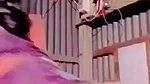 Beautiful Sexy Village Girl Showing