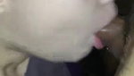 Neighbor BBC Mouthfuck Hotty Babe