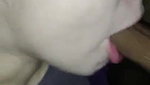 Neighbor BBC Mouthfuck Hotty Babe