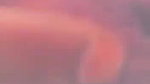 Village Girl Outdoor Fingring And Showing Her Pink Pussy Lips