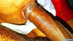 Desi Real Homemade Blowjob and Cumshot