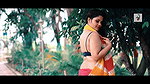 Colorful Rai  Saree Modeling Video  Multi Color Saree  NAARI