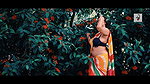 Colorful Rai  Saree Modeling Video  Multi Color Saree  NAARI