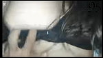 Pooja Hot Sex