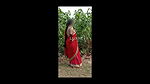 Red Saree Outdoor Dare – Boobs Show Outdoor