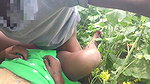 Bengali Couple Having Sex in the Jungle, Sex Video Goes Viral.
