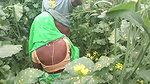 Bengali Couple Having Sex in the Jungle, Sex Video Goes Viral.