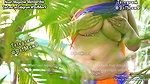 Rai 1st time Open Boobs Uncut