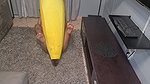Tattooed Desi Slut Humps a Big Banana, Close Ups
