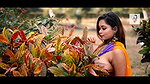 x  Saree Sundari   NAARI Feat. Silvia   Rainbow Beauty   Full HD   2021.mkv