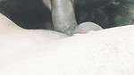 Cute Girl Lick Ass a Nice Teaser.
