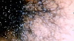 Gita Stepaunty Show Big Big Boobs and Pussy 2025 Part Two