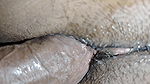 Very Cute Close up of Budgie’s Pussy-don’t Miss Guys