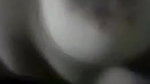Sexy Chubby Girl Awishy Sucking Dick