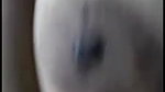 Sexy Chubby Girl Awishy Sucking Dick