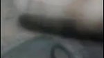 Sexy Chubby Girl Awishy Sucking Dick