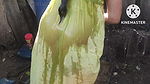 Antha yadav hot outside bath full topless