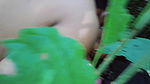 Indian a Sexy Desi Jungle Sex of Lovely Couple, Desi Sex