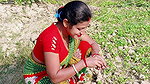 Sumona super ht navel show-Our beautiful village and village