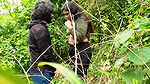Desi Village Jungle Girl Bur Chudai Video Jungle Me Ashi─╖ke Sath Chudai Karwate Huye Pakde Gye