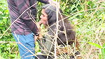 Desi Village Jungle Girl Bur Chudai Video Jungle Me Ashi─╖ke Sath Chudai Karwate Huye Pakde Gye