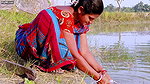 Sumona boob Today i will Cook Pomfret fish vlog
