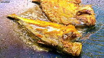 Sumona boob Today i will Cook Pomfret fish vlog