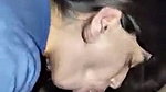 Wild desi babe brutal suck till last drop