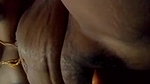 indian wife saree lover