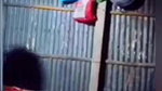up chairman sex video