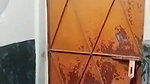 Bangladeshi Beautiful Sexy Chubby Girl Bathing