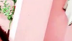 pink fairy chamet