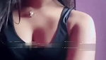 butterfly chamet